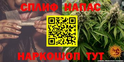 apvp Краснознаменск