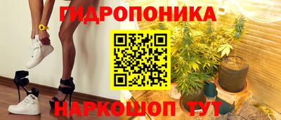 apvp Краснознаменск