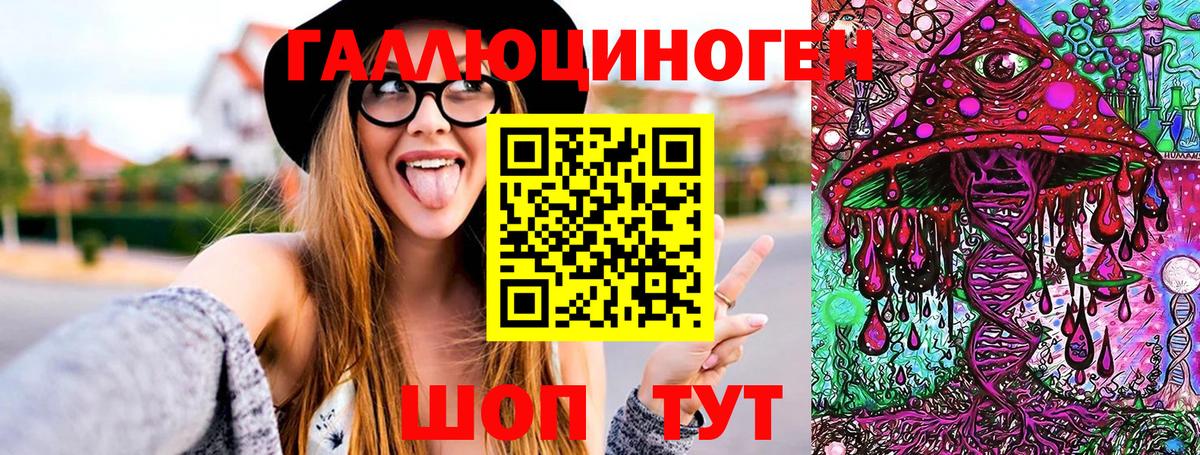 Ковров  Псилоцибиновые грибы Cubensis  Вход с VPN 