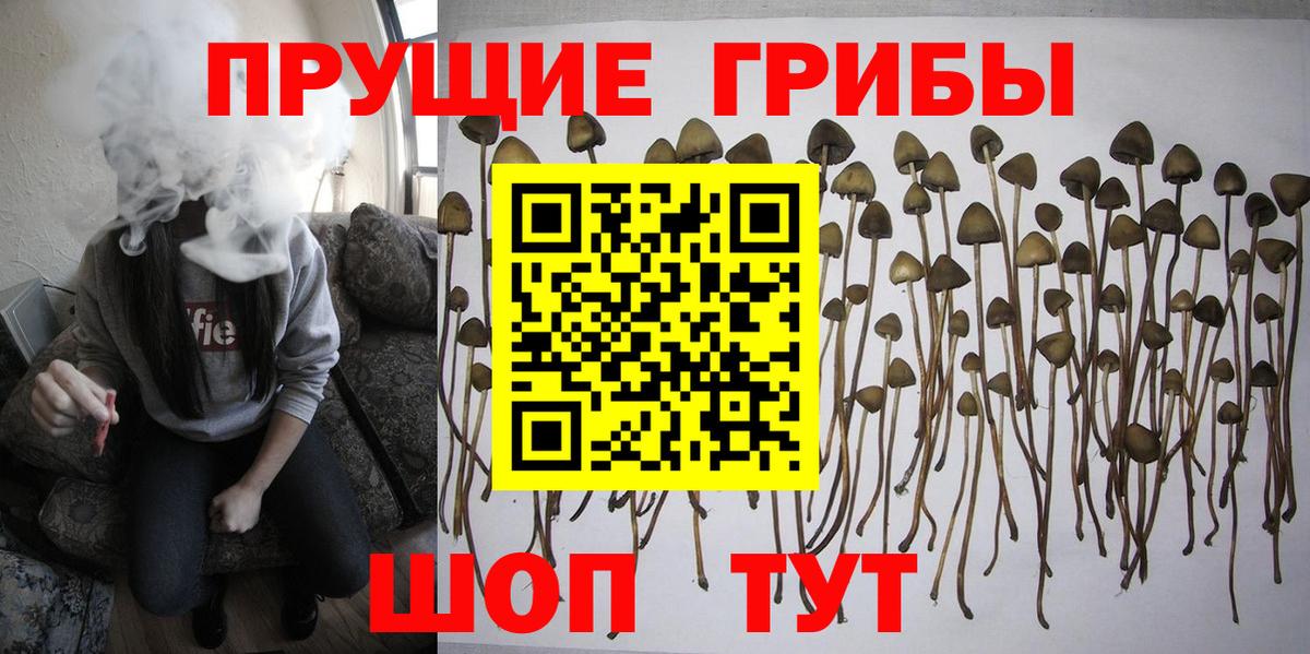 Как найти наркотики?  A PVP СОЛЬ   Каннабис  Кетамин  НБОМе  Меф   Гашиш  Вейп ТГК  Ковров  Вход с VPN  Cocaine 
